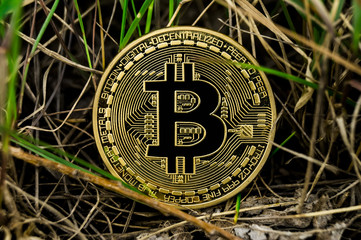 New crypto currency, bitcoin and computer fee finance