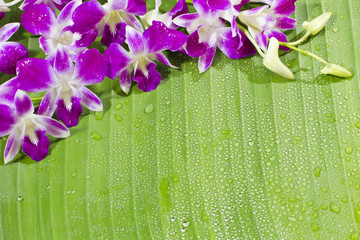 Banana leaves,Decorated with flowers for text input