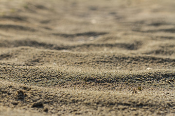 Fototapeta na wymiar A texture of river brown sand in summer on a sunny day in the desert.