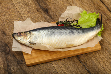 Herring fish