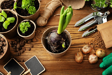 planting tools. gardening