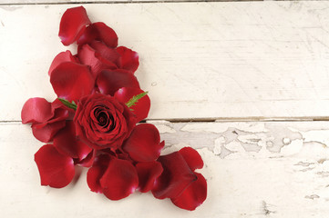 Rose and petals over wooden background.