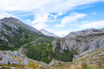 Fototapeta na wymiar The valley of river Duje, spanisch Vale do Rio Duje, situated in east side of the mountain range Los Picos de Europa, Asturias Spain. The valley is wonderful for hiking and leads along the river Duje