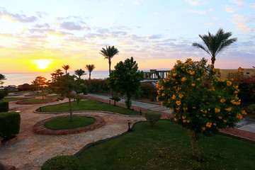 Obraz premium Palm trees at beautiful sunset