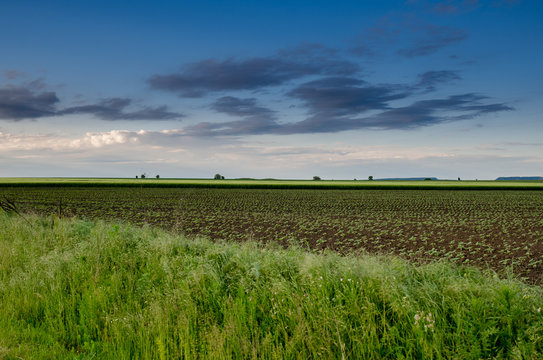 Fields nearby the town of Pliska, Bulgaria