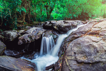Naklejka na ściany i meble background Wallpaper nature Forest Hill Waterfall. thailand doi inthanon