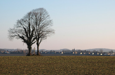 Village de campagne à l'automne