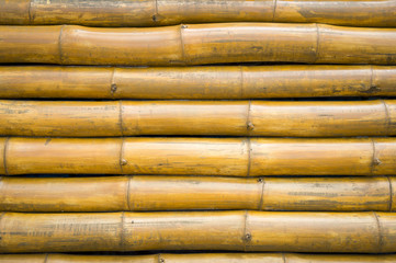 Yellow bamboo trunks stacked in full frame textured natural background