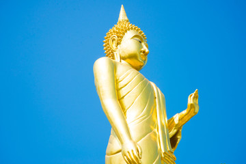 Obraz premium Buddha on blue background.