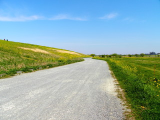 江戸川河川敷の道