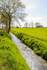 Fototapeta na wymiar Dutch agricultural landscape in backlit