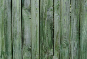 Vintage wood background texture. Old green wooden planks texture background.