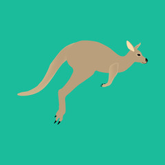 Kangaroo animal illustration