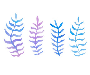 Hand drawn watercolor blue twig set on the white background. Vector.