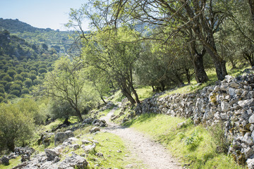 Fototapeta premium Sierras Subbéticas Natural Park in andalusia