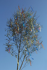 Bunter Maibaum