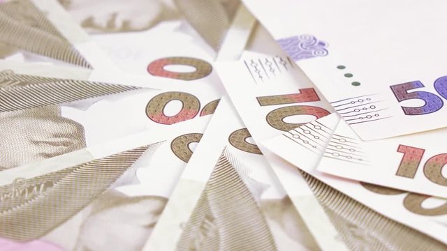 Variety of bills Ukrainian hryvnia