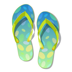 Pair of flip-flops isolated on a white background.