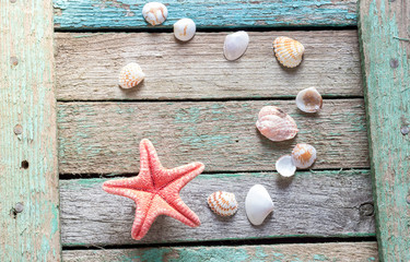 Red starfish and seashells on a wooden background