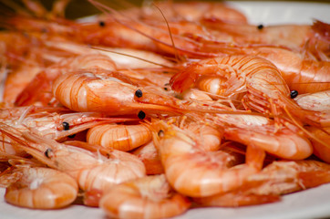 Quisquillas
Marisco