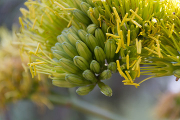 Different Colors of the Nature