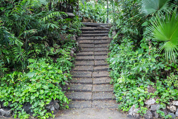 Stairs in the garden