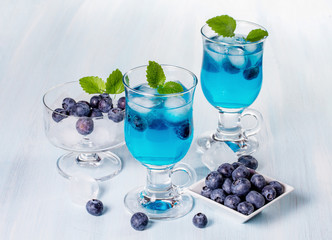 Alcoholic cocktail with blueberries and mint. Space for text