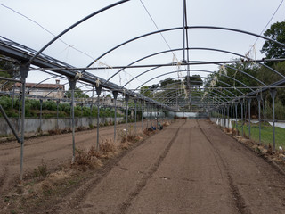 Instalación agrícola en poblado