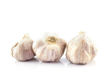 Obraz premium garlic on white background