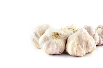 garlic on white background
