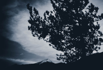 Fototapeta premium Photo depicting a beautiful moody landscape European alpine mountains with snow peaks on a clody sky background. Black and white.