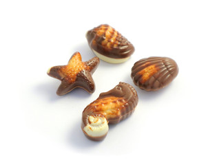 Set of delicious praline chocolate, macro view, closeup. Photo depicting the assortment of Belgian chocolate pralines sweet candies. Seashell, sea star, sea horse.