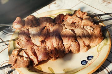 raw shish kebab on skewers