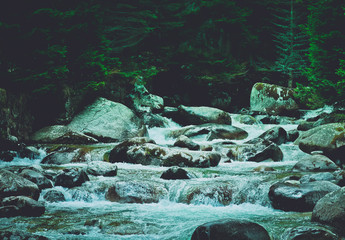 Pine tree forest river flows through the rocks. Beautiful powerful rapid steam of the mountain...