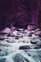 Pine tree forest river flows through the rocks. Beautiful powerful rapid steam of the mountain river flows between pebbles rocks. Nature of Balkanes, Bulgaria