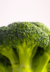 Branch of fresh tasty green broccoli cabbage. Photo depicts a bright colorful natural beautiful delicious broccoli, isolated on a white background. Close up, macro view.