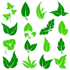leaves set,eco icons, isolated on a white