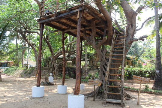 Machan
