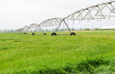 pivot sprinkler system