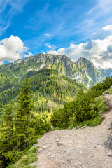 View of the mountain trail for hiking through pine forest, landscape in the summer, Tatra Mountains, Poland