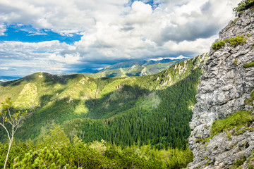 Fototapeta na wymiar Panorama of mountains in Tatras, view of forest from top of mountain, summer, landscape, Poland