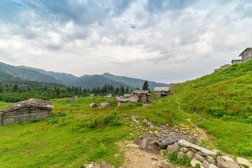 Fototapeta na wymiar Summer Mountain Plateau Highland with Gorgit, Artvin, Turkey
