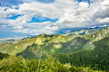 Fototapeta na wymiar Panorama of mountain forest, panoramic view of Tatra Mountains pine, summer, Poland