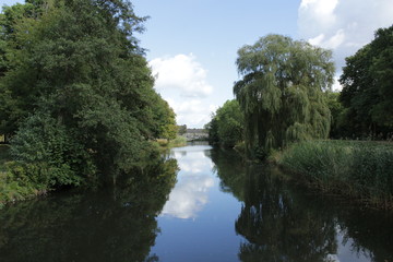 Fototapeta na wymiar pond surrounded by trees