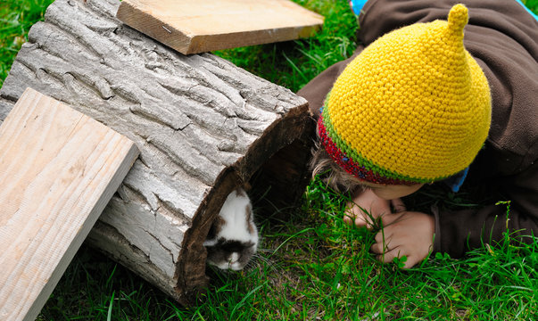 Ein Junge im Kaninchengehege im Garten spielt mit seinen Haustieren