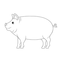 pig animal farm isolated icon vector illustration design