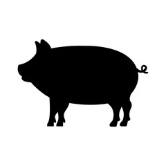 pig animal farm isolated icon vector illustration design