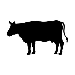 cow farm animal icon vector illustration design