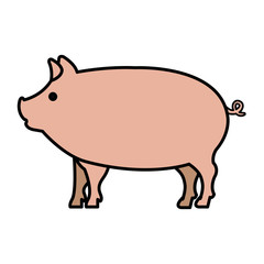 pig animal farm isolated icon vector illustration design