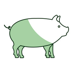 pig animal farm isolated icon vector illustration design